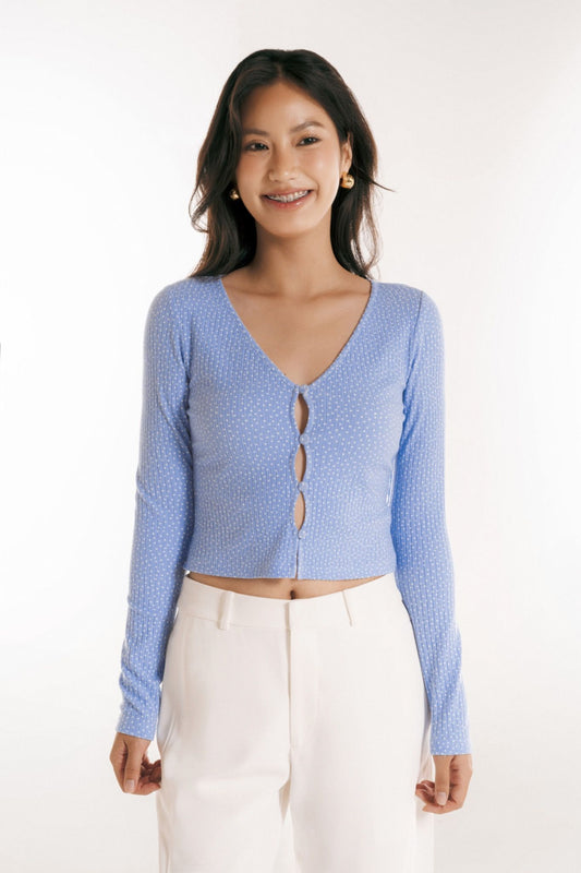 Libe Long Sleeves V Neck Top (Pre-order)