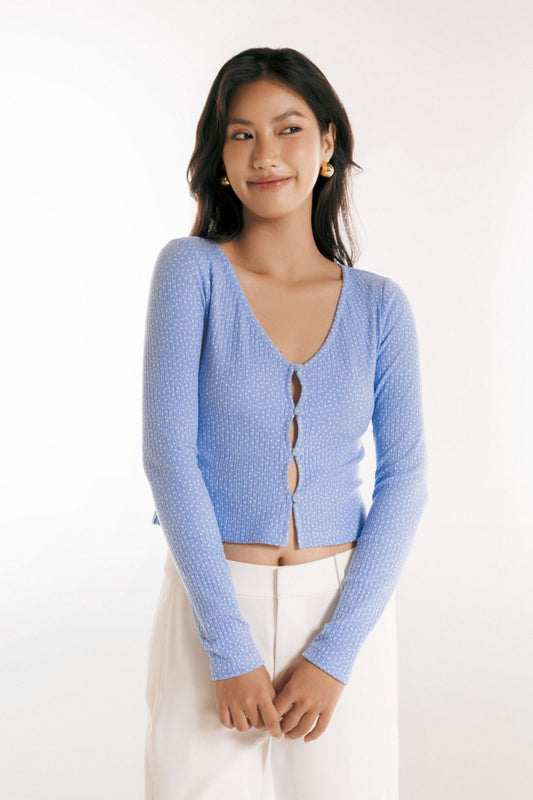 Libe Long Sleeves V Neck Top (Pre-order)