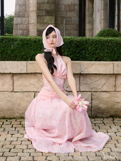 Amelie Robin Dress (Pre-order)