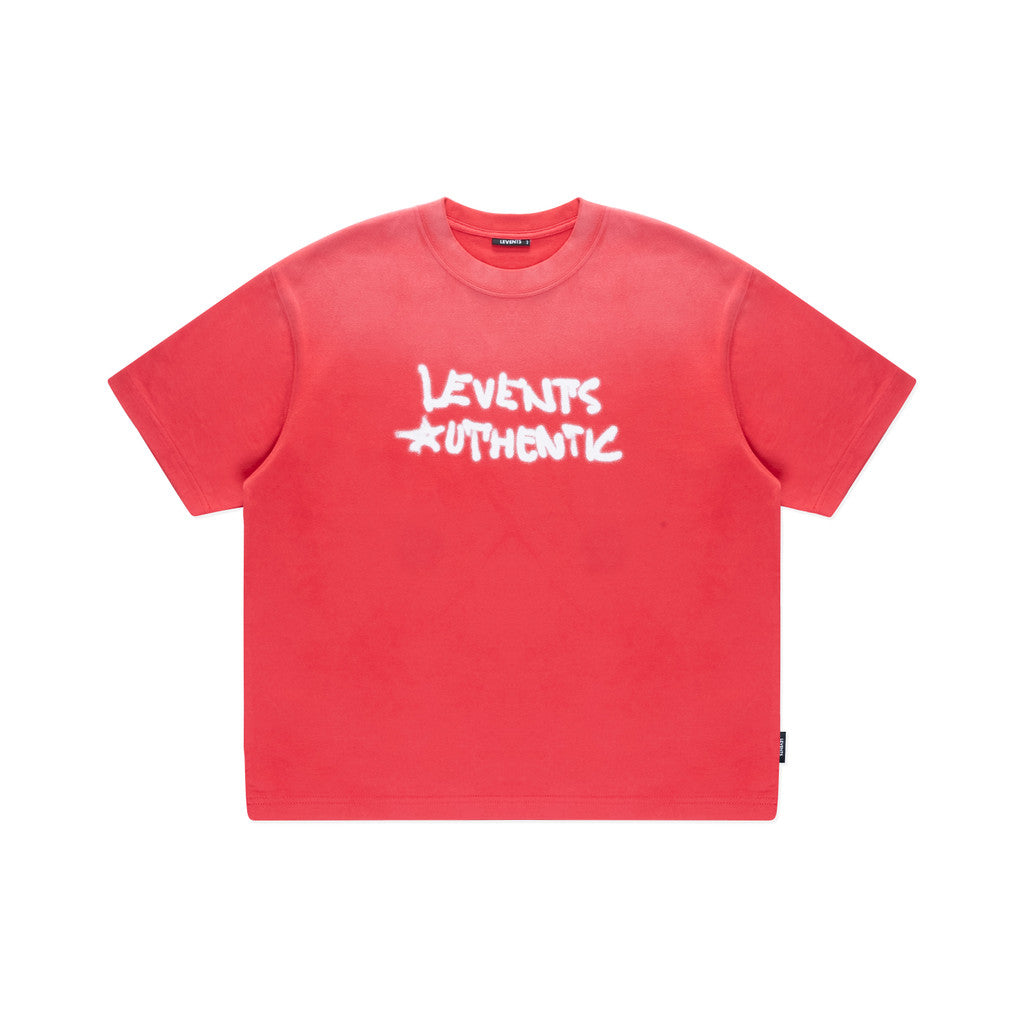 Levents Urban Spray Semi-Oversized Tee