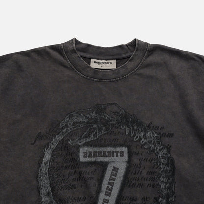 Bad Habits Sins Boxy Tee