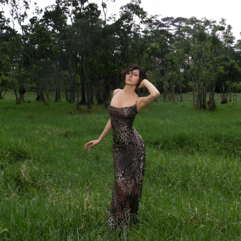 Madebykinh Leopard Sheer Dress